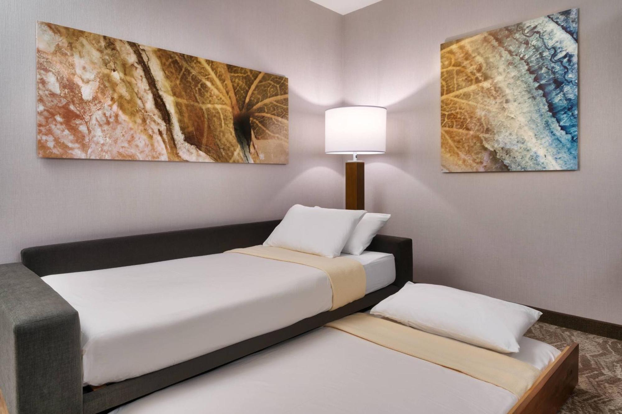 Springhill Suites By Marriott El Paso Airport מראה חיצוני תמונה