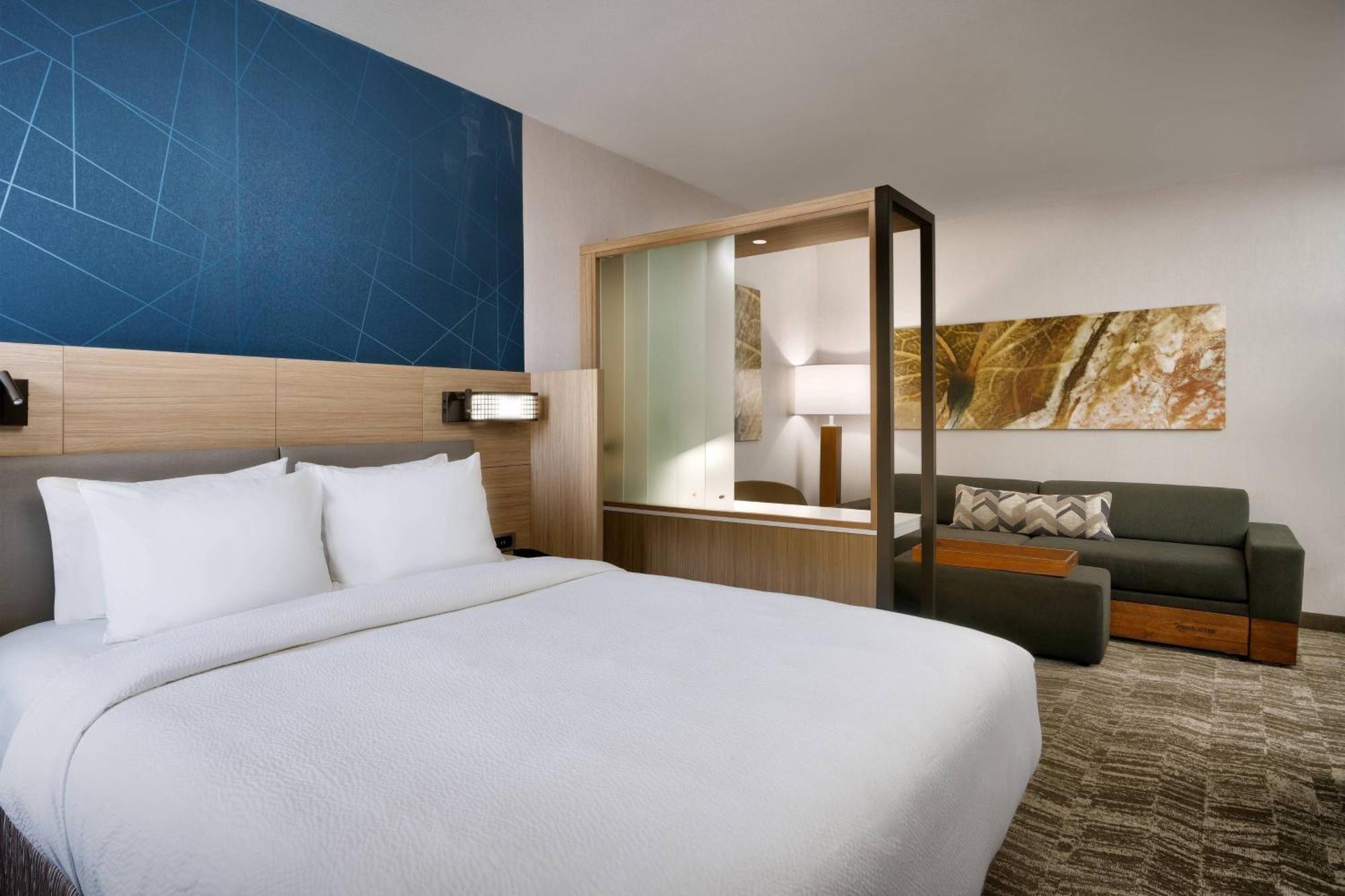 Springhill Suites By Marriott El Paso Airport מראה חיצוני תמונה