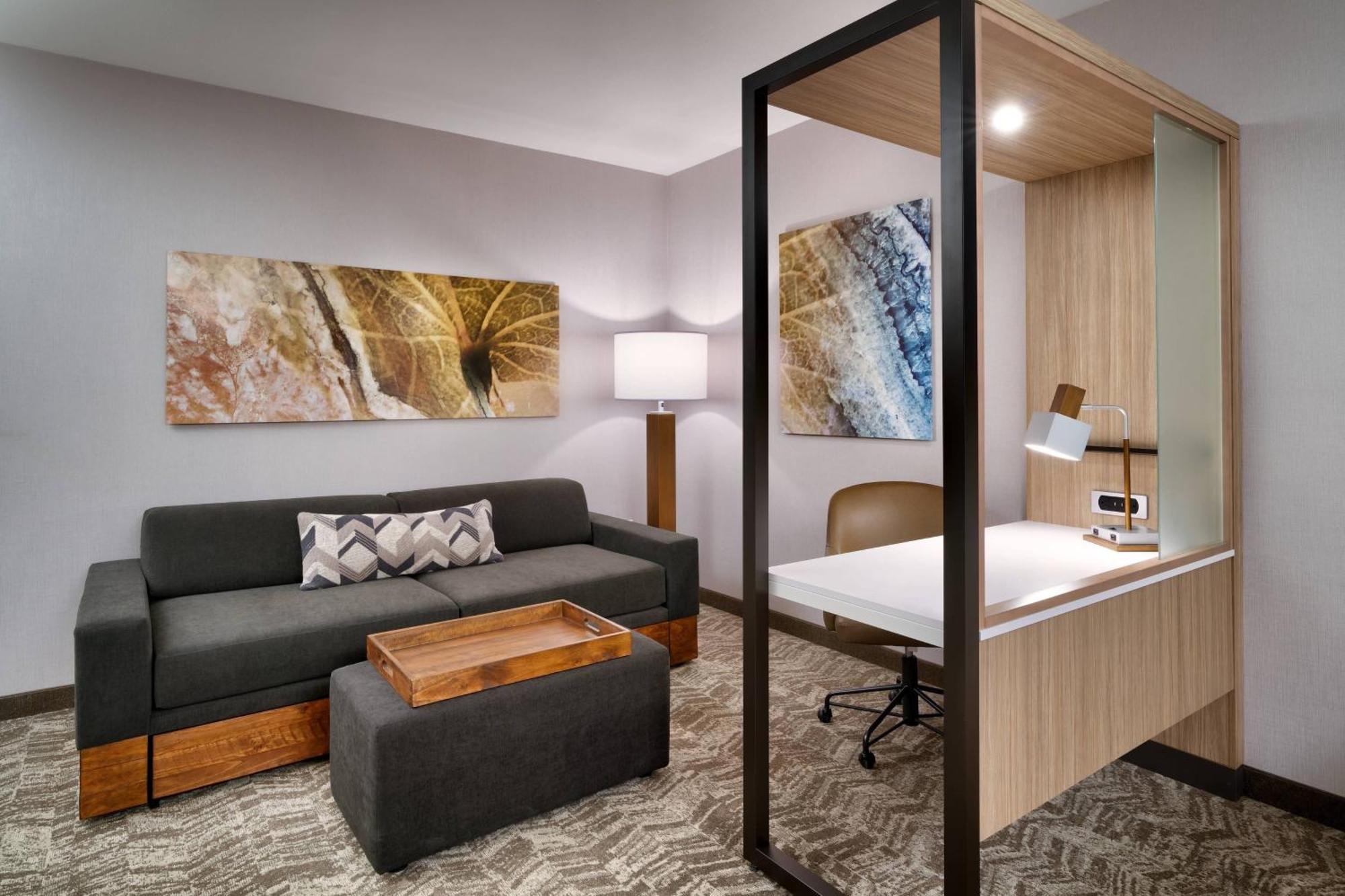 Springhill Suites By Marriott El Paso Airport מראה חיצוני תמונה